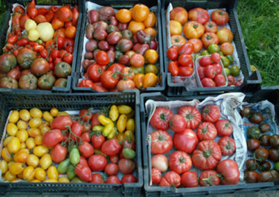 menge_2007-09-29.jpg