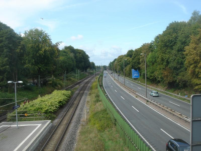 DSC06991.JPG