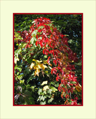 HERBSTIMPRESSIONEN_I_09.07.jpg