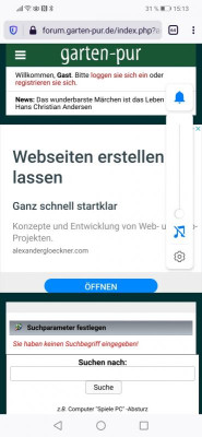 Screenshot_20200911_151332_org.mozilla.firefox.jpg