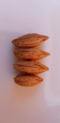 20200911_181014.jpg