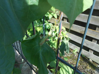DSCN0716.JPG