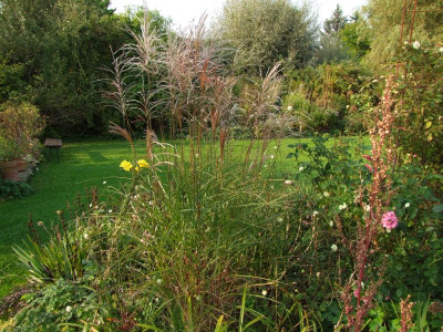 2020_0613September10136.JPG
