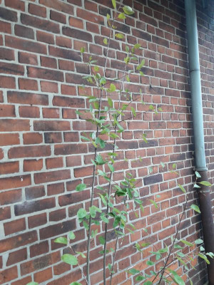 20200912_083637.jpg