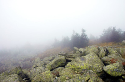 Brocken_1_06-09-2007.jpg