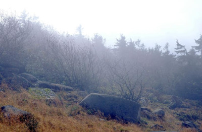 Brocken_2_06-09-2007.jpg