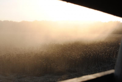 DSC_1366.JPG