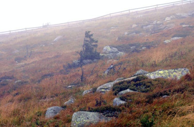 Brocken_4_06-09-2007.jpg