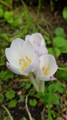 20200908_152941.jpg