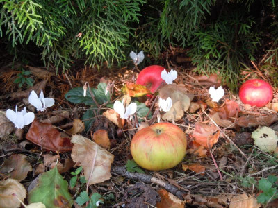 DSCN0090.JPG
