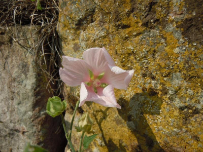 DSCN0104.JPG