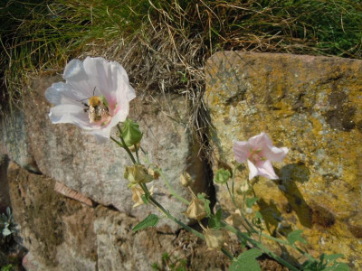 DSCN0103.JPG