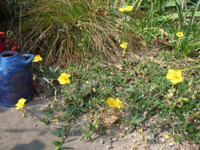 DSCN0107.JPG