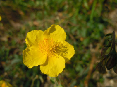 DSCN0109.JPG