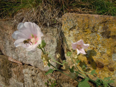 DSCN0102.JPG