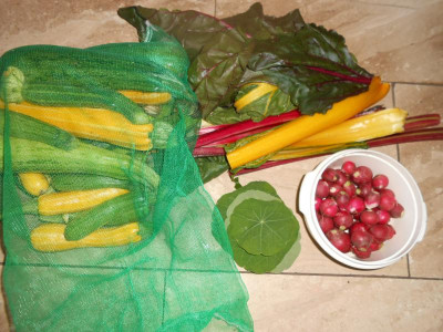 DSCN0740.JPG