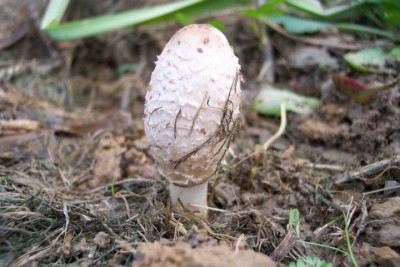 K640_100_4421.JPG