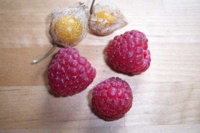 K640_100_4424.JPG