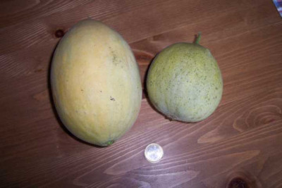 K640_100_4426.JPG