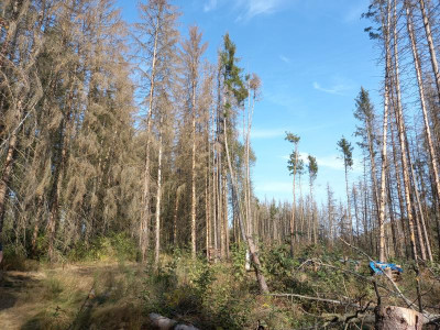 20200914_152213.jpg