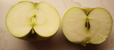 Triesdorf4.jpg