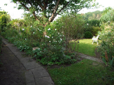 2020_0616SeptemberMitte0010.JPG