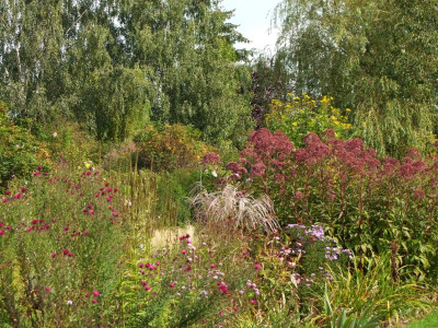 2020_0616SeptemberMitte0078.JPG