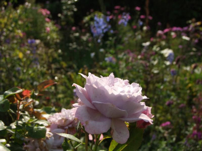 2020_0616SeptemberMitte0091.JPG