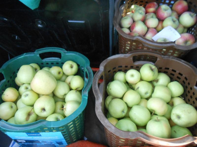 DSCN0763.JPG