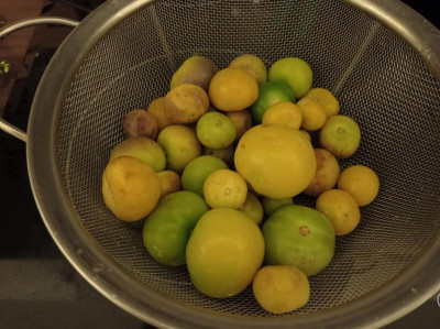 tomatillos.jpg