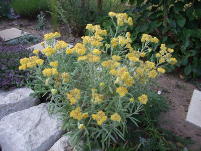 DSCF6937.JPG