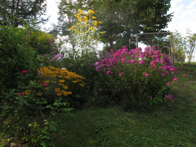 ostbunt.JPG