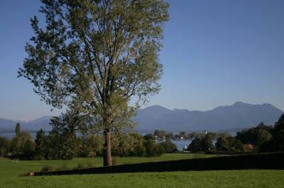Chiemsee0307.jpg