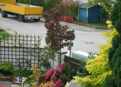 garten-pur_1.JPG