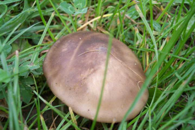 K640_100_4431.JPG