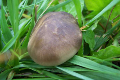 K640_100_4432.JPG