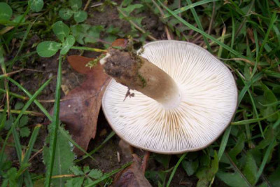 K640_100_4433.JPG