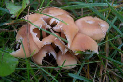 K640_100_4434.JPG
