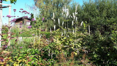 20200917_101529.jpg