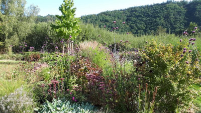 20200917_102552.jpg