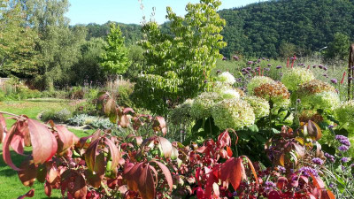 20200917_103349.jpg