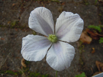 DSCN0143.JPG