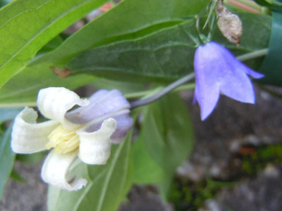 DSCN0148.JPG