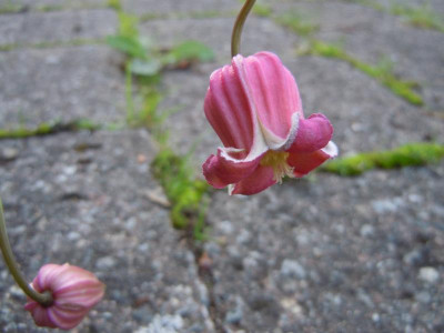 DSCN0146.JPG