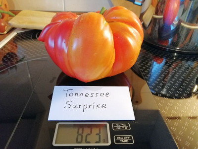 200918_Tennessee Surprise.jpg