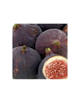 higuera-negra.jpg