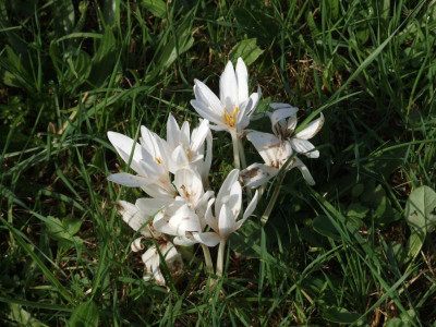 DSCF0859.JPG