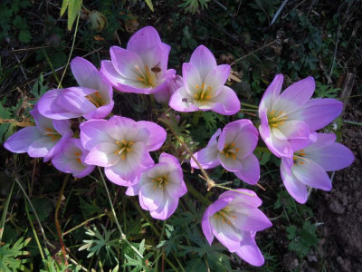 DSCN0165.JPG