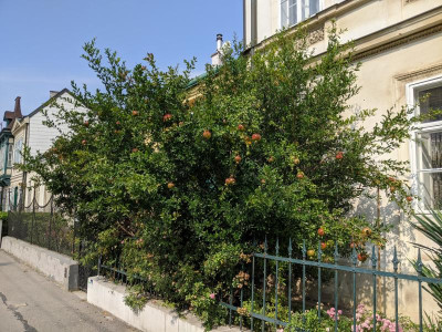 PXL_20200917_094040715.jpg
