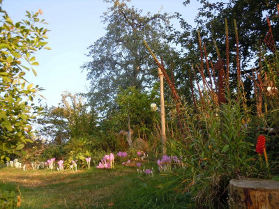 DSCN0172.JPG